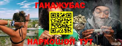 гашик Нарткала