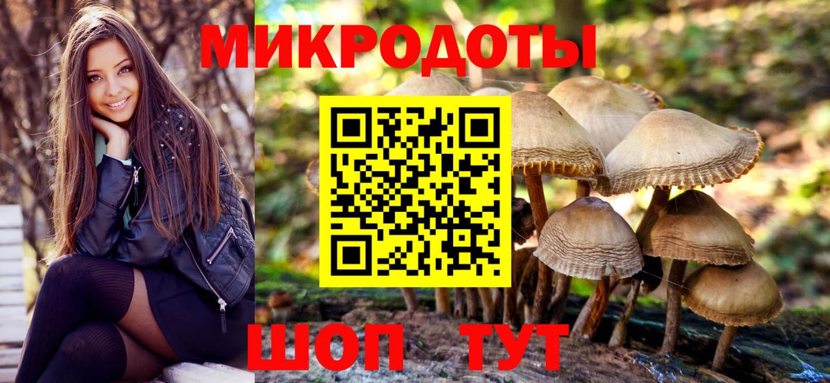 Галлюциногенные грибы мицелий  Вход с VPN  Пушкино  Псилоцибиновые грибы Psilocybine cubensis 