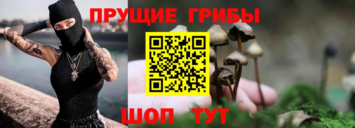 Галлюциногенные грибы ЛСД Пушкино
