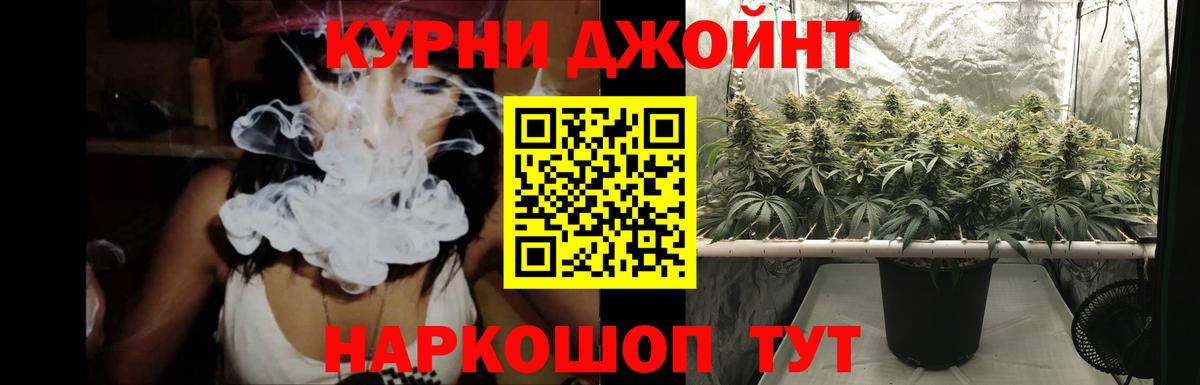 Бошки Шишки ГИДРОПОН Пушкино